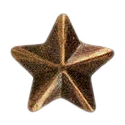 Bronze Star